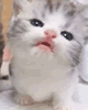 https://upforme.ru/uploads/001c/55/b9/2/801269.gif