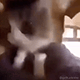 https://upforme.ru/uploads/001c/55/b9/2/806856.gif