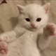 https://upforme.ru/uploads/001c/55/b9/2/813413.gif