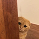 https://upforme.ru/uploads/001c/55/b9/2/814114.png