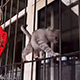 https://upforme.ru/uploads/001c/55/b9/2/817397.gif