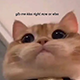 https://upforme.ru/uploads/001c/55/b9/2/830092.png