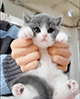 https://upforme.ru/uploads/001c/55/b9/2/832976.gif