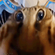 https://upforme.ru/uploads/001c/55/b9/2/83643.gif