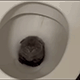 https://upforme.ru/uploads/001c/55/b9/2/839542.gif