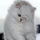 https://upforme.ru/uploads/001c/55/b9/2/873640.png