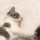 https://upforme.ru/uploads/001c/55/b9/2/896062.gif