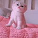 https://upforme.ru/uploads/001c/55/b9/2/901119.gif