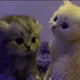 https://upforme.ru/uploads/001c/55/b9/2/906506.gif