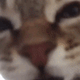 https://upforme.ru/uploads/001c/55/b9/2/910390.gif