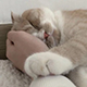 https://upforme.ru/uploads/001c/55/b9/2/920604.png