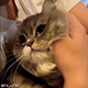 https://upforme.ru/uploads/001c/55/b9/2/933692.gif