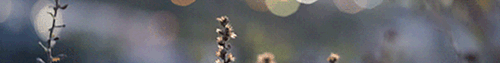 https://upforme.ru/uploads/001c/55/b9/2/94088.gif
