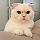 https://upforme.ru/uploads/001c/55/b9/2/951552.png