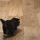 https://upforme.ru/uploads/001c/55/b9/2/956177.gif