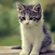 https://upforme.ru/uploads/001c/55/b9/2/95649.png