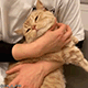 https://upforme.ru/uploads/001c/55/b9/2/959794.gif