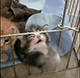 https://upforme.ru/uploads/001c/55/b9/2/960671.gif