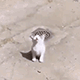 https://upforme.ru/uploads/001c/55/b9/2/981351.gif