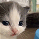 https://upforme.ru/uploads/001c/55/b9/2/988394.gif