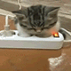 https://upforme.ru/uploads/001c/55/b9/2/995746.gif