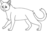 https://upforme.ru/uploads/001c/55/b9/2/t219007.png