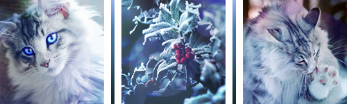 https://upforme.ru/uploads/001c/55/b9/23/700548.png