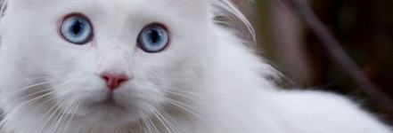 https://upforme.ru/uploads/001c/55/b9/242/538023.png
