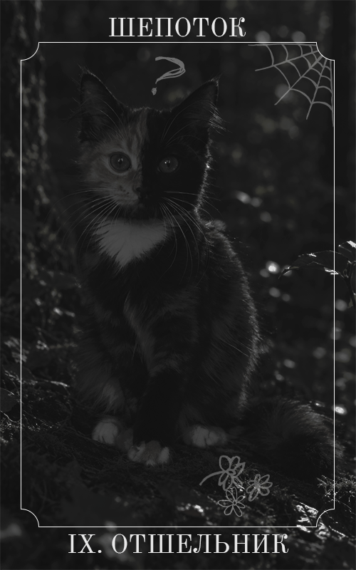 https://upforme.ru/uploads/001c/55/b9/247/152357.png