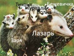 https://upforme.ru/uploads/001c/55/b9/26/324619.jpg