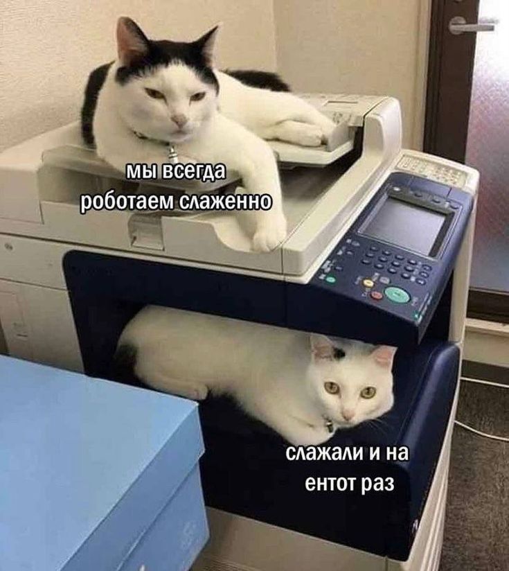 https://upforme.ru/uploads/001c/55/b9/260/955350.jpg