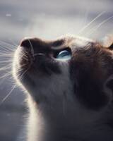 https://upforme.ru/uploads/001c/55/b9/267/t877415.jpg