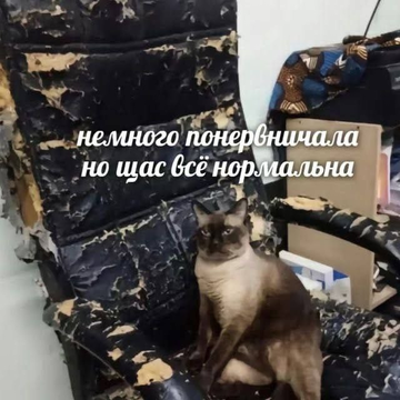 https://upforme.ru/uploads/001c/55/b9/294/t279458.png