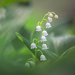 https://upforme.ru/uploads/001c/55/b9/31/190537.png