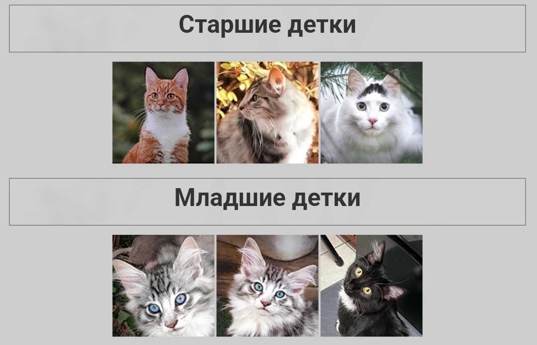https://upforme.ru/uploads/001c/55/b9/31/224942.jpg