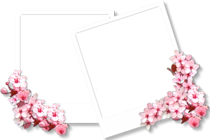 https://upforme.ru/uploads/001c/55/b9/31/347454.png