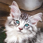 https://upforme.ru/uploads/001c/55/b9/31/97734.png