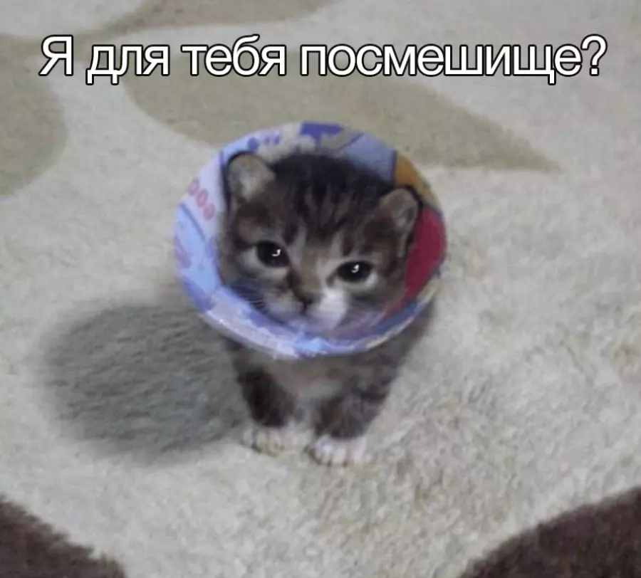 https://upforme.ru/uploads/001c/55/b9/314/690768.webp