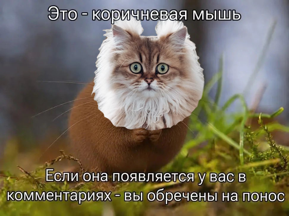 https://upforme.ru/uploads/001c/55/b9/314/738693.png