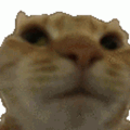 https://upforme.ru/uploads/001c/55/b9/320/t668407.gif