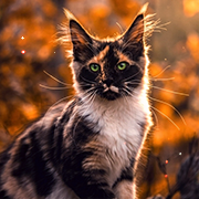 https://upforme.ru/uploads/001c/55/b9/326/583104.png