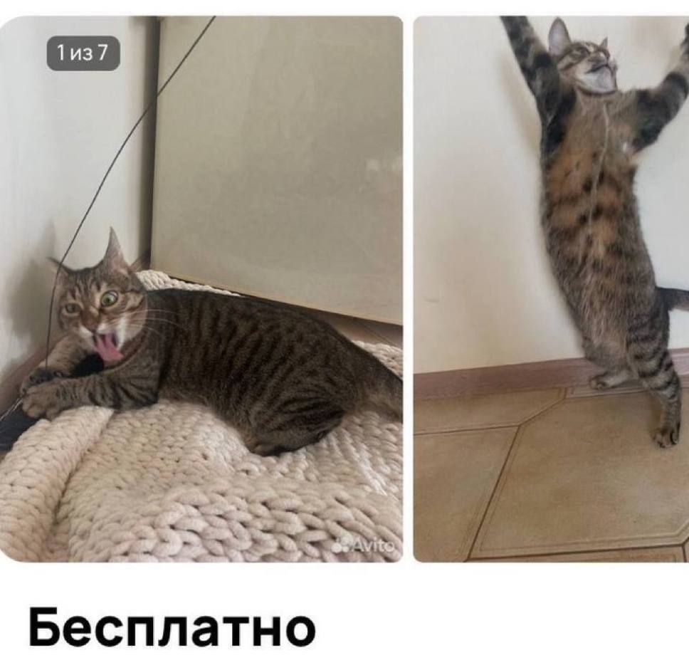 https://upforme.ru/uploads/001c/55/b9/334/848470.jpg
