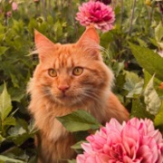 https://upforme.ru/uploads/001c/55/b9/335/853460.jpg
