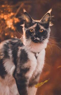 https://upforme.ru/uploads/001c/55/b9/335/t853950.jpg