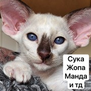 https://upforme.ru/uploads/001c/55/b9/345/584479.jpg