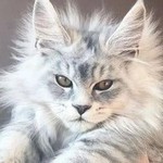 https://upforme.ru/uploads/001c/55/b9/35/100758.jpg