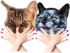 https://upforme.ru/uploads/001c/55/b9/35/551733.png
