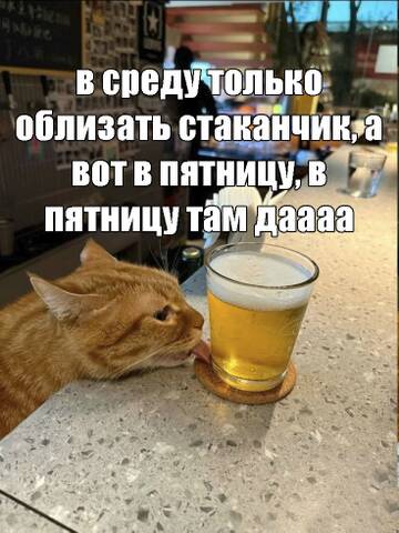 https://upforme.ru/uploads/001c/55/b9/35/t206803.jpg
