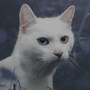 https://upforme.ru/uploads/001c/55/b9/352/235391.png