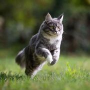 https://upforme.ru/uploads/001c/55/b9/48/364765.jpg